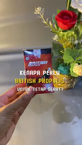 Kecil-kecil banyak manfaatnya 🫶 #fyp #fypシ #propolis #brithispropolis 