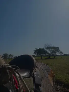 pa mi el llano no se acaba@Jorge F. Guerrero S. #musicallanera #llanerasvenezolanas #elguerrerodelfolklore #jorgeguerrero🇻🇪 #llanosvenezolanos #llanosorientales #barinaszvzla🇻🇪🇻🇪🇻🇪 #paraelmundo 