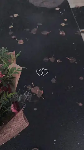 #CapCut  أما عن مشاعر والحب انت بالنسبة لي ملك قلبي وعقلي وليف الروح انت بالنسبة لي جنة💚🤎 #EX_A 