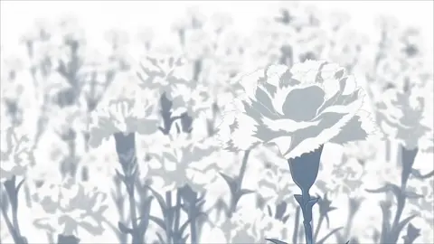 Цветы красивые#rize #ризе #токийскийгуль #tokioghoul #канеки #kaneki #рек #??? 