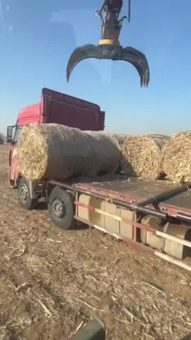 #chinesetruck 