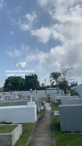 🕊️🤍 #angelenelcielo🕊 #pa #tini #paratiii #viral_video #fyp 