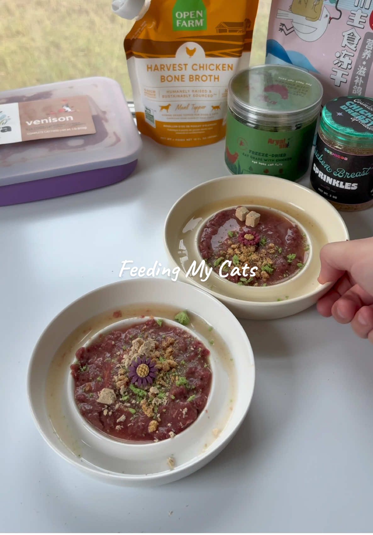 Feeding My Cats 🐾 🏷️: IVYOPIE20- Viva Raw IVY15- Open Farm IVYOPIE15- Cosmicos  🍽️: Viva Raw Venison 🦌  Open Farm Chicken Broth 🐓  Arya Sit FD Cat Grass 🌱  Cosmicos Chicken Sprinkles 🐔  Freeze Dried Piegon Cubes 🐦  Chicken & Cheese Flower Treats 🌼  #cat #cattok #catsoftiktok #catslife #catlover #catlife #cats #catlove #catloversclub #petlovers #petlife #petparent #catparent #catlover #catmom #catmomlife #catfood #foodforcats #restock #asmr #organizing #organizingcatfood #restockasmr #unboxing #cannedfoodrestock #feedingmycats #catfood #feedingmycatwithme #whatmycateats #catcontentcreators 