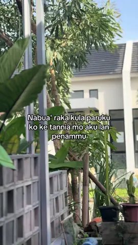 :( #fyp #torajasulawesiselatan #torajanese #torajamaelo #torajapride🏝️💥 #quetestoraja 