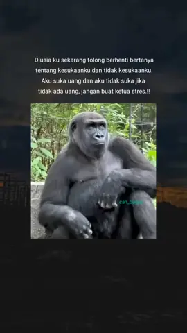 cuma itu yg kusuka..#fypシ #foryou #cb_ 