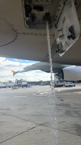 Draining water under an a380  #foryoupage #fyp #fypシ #viralvideo #like #airplane #a380 