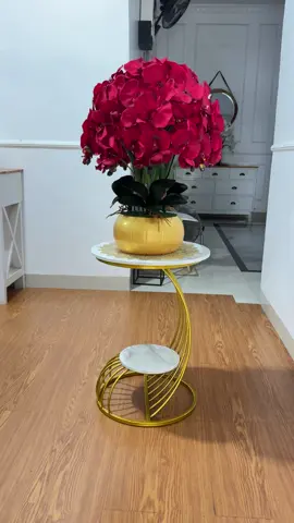 #mozagallery #homedecorkisaran #homedecormedan #homedecorsumaterautara #rangkaiananggrek 