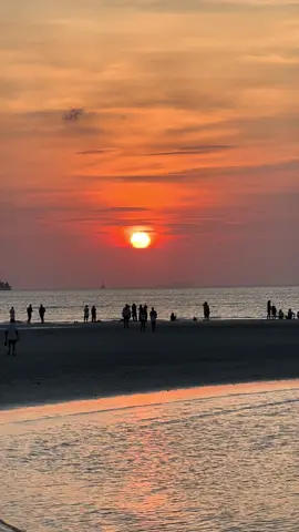 เอาไข่แดงสมุยมาแจกฮะ  #fypシ゚viral #fyp #kohsamui #samuiisland 