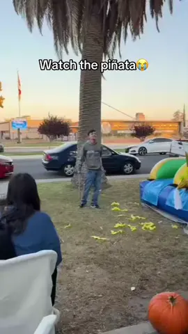 This got me😂😂 #viral #meme #fyp #funny #birthday #birthdayparty #bat #baseball #bouncebackid #jumpscare #jump #flying 