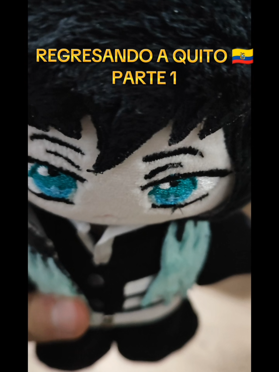 Mi regreso a Quito - Ecuador 🇪🇨 PARTE 1 He estado teniendo un tiempo increíble en Quito, amo mucho esta ciudad y sobre todo lo bien que me han recibido aquí :3 Recuerden que mañana 11 de enero nos vemos en el Festival Okaeri #doblajelatino #doblajemexicano #doblaje #demonslayer #kimetsunoyaiba #tokito #tokitomuichiro #muichiro #muichirotokito #kaijuno8 #renoichikawa #ecuador #ecuador🇪🇨 #quito_ecuador🇪🇨 #quito 