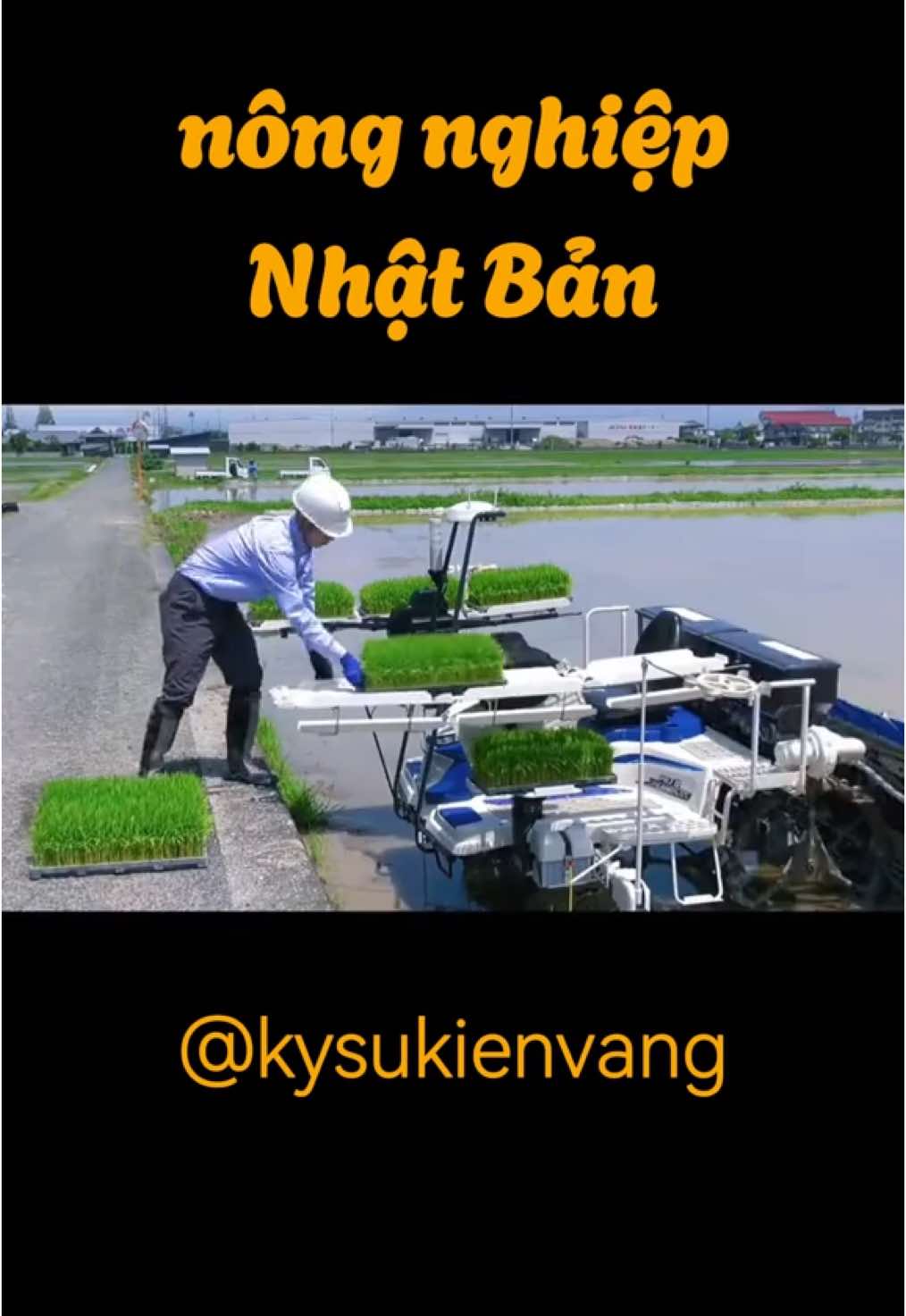 nông nghiệp Nhật Bản không thua gì các nước Phương Tây #nongnghiep #nongnghiephiendai #nhatban #AI #robot