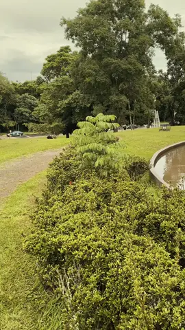 #CapCut #nero5 #nero5amarela #nero5 #bike244 #Meme 