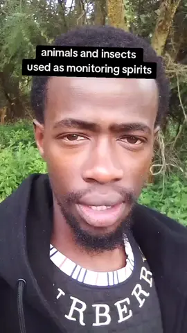 be aware of monitoring spirits they are always listening and ready to destroy your plans#spirituality #spiritualtiktok #spirits #goviral #awakening #mothernature 