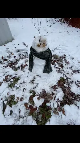 went outside and made a snowman by myself this year.. 😛#fyp #livephoto #snow #snowman 