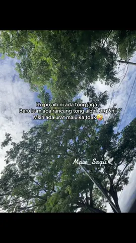 #merauke_papua #masukberanda #fypシ #meraukekotarusa♥️🦌♥️ #papuaselatan #merauke #meraukekotarusa 