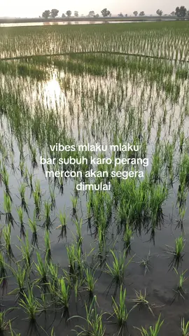 siapne amunisi cah dilut neh poso#fyp #Ramadan #vibes #2025 