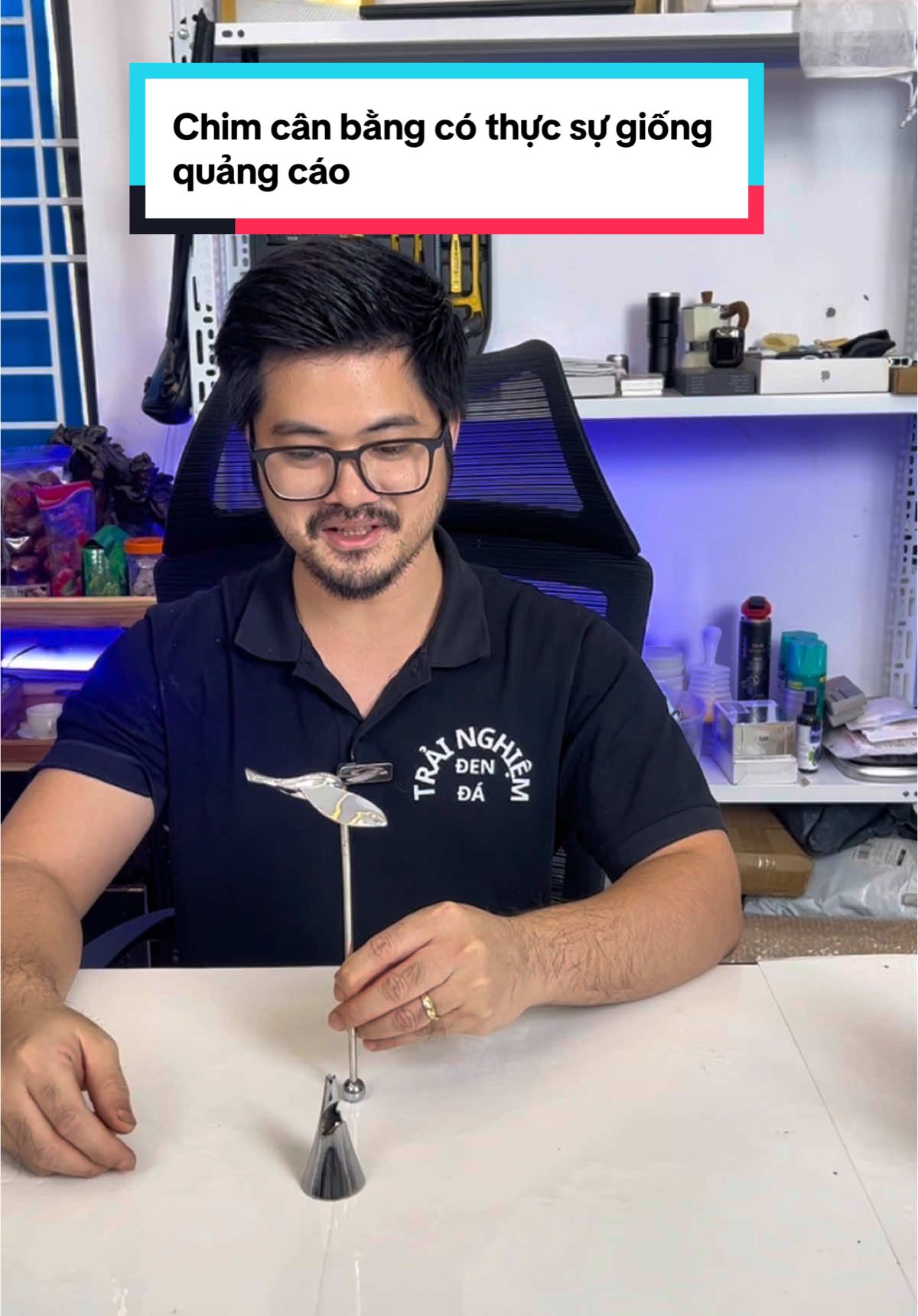 Chim cân bằng có thực sự giống quảng cáo #chimcanbang #monapchaibia #dungcumonapchai 