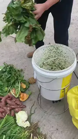 lưỡi dao xay 4 cánh đa năng xay rau củ quả cho gà vịt#dungcunongnghiep