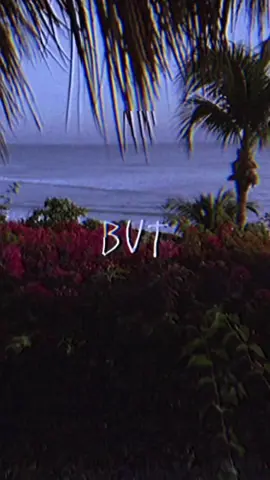 505. (none of my videos.) #fyp #arcticmonkeys #arctic #music #backto505 #505 #arc #sunset #scenery #views #intresting #intriguing #foryoupage #fy #foryou #flowers #theview #beauty #beautiful #gorgeous #capcut 