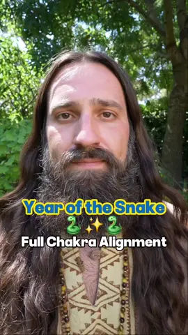 ✨️Full Chakra Energy Alignment | ASMR REIKI》 May this year transform you into who you truly are from within. May all that no longer serves you shed away as you flourish & grow into a better you. & so it is! #asmr #asmrsounds #asmrvideo #energyhealing #reiki #healing #chakra #alignment #2025 #snake 