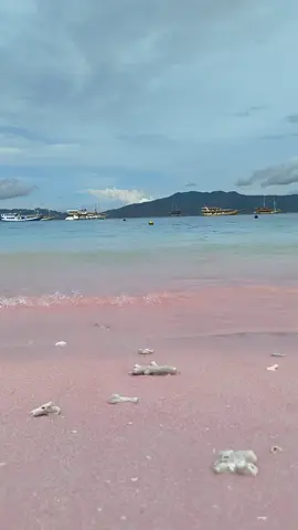 Deburan ombak di Pantai Pink - Labuan Bajo 🩷 No edit ini warnanya, apa adanya langsung dari video HP #pinkbeach  #pinkbeachkomodo  #labuanbajo #traveling