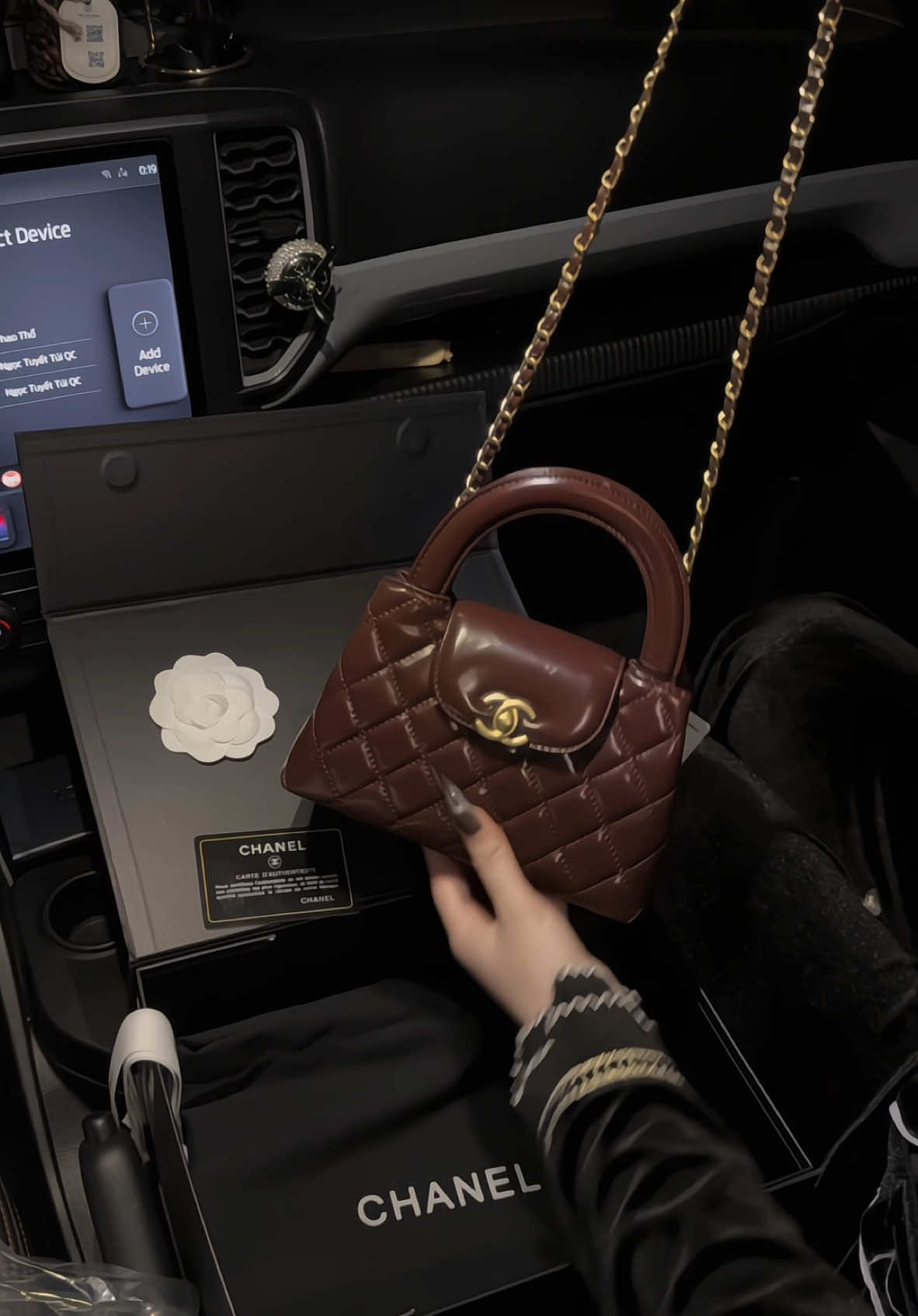 Mê cá màu quá 🥰🥰