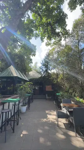 መቅረት አይቻልም ሁላችሁሞ ልትወዱት ምችሉት ቤት ነዉ 🥰👌 📍Dok restaurant  📌 megnagna behind bellvue hotel  #reviewaddis #foryoupage❤️❤️ 