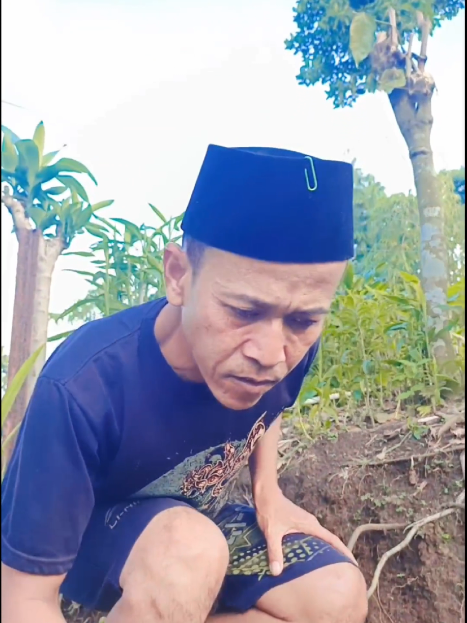 mudahnya dapat ikan #kumpulanvideolucu #fypシ゚ #ngakak #komedi #trandingtiktok #fyppppppppppppppppppppppp #komedisunda 