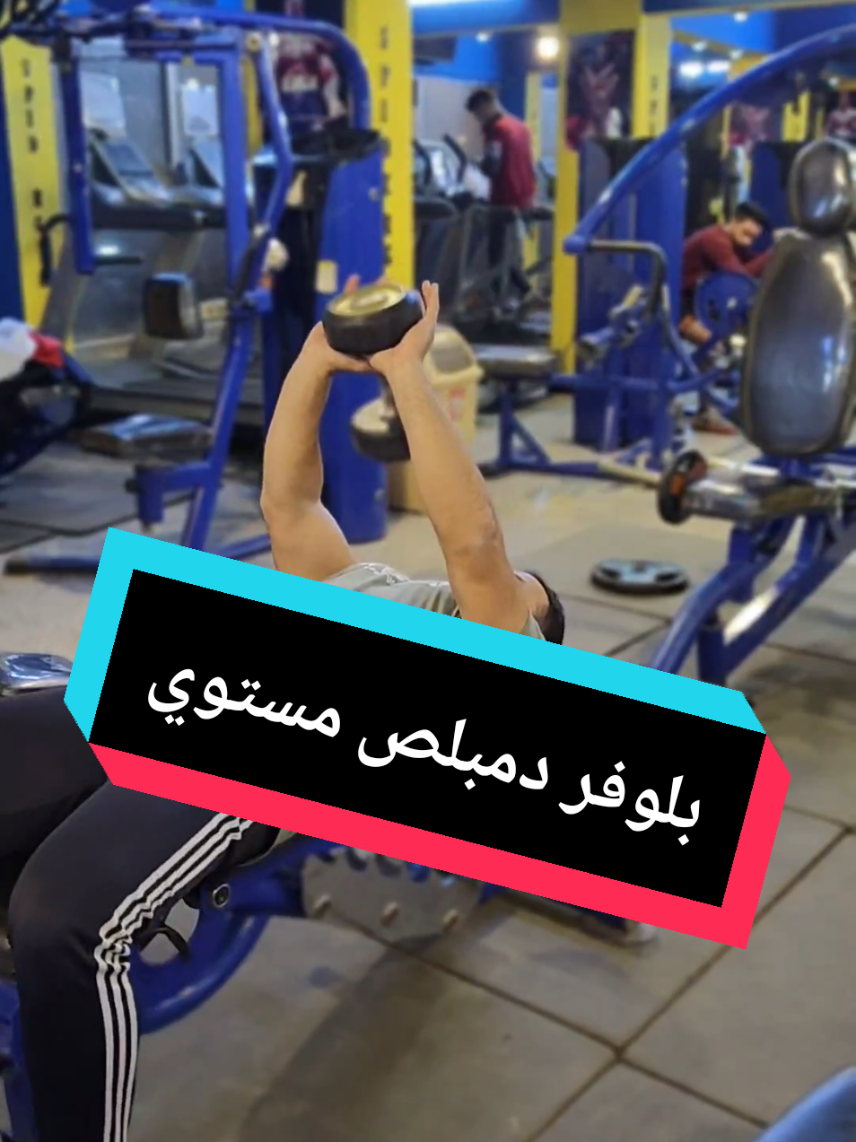 بلوفر دمبلص مستوي سلسلة شرح تمارين للمبتدئين #كرادة_كروب #الشعب_الصيني_ماله_حل😂😂 #ضغط #كمال_اجسام #دوس_على_الشاشه_مرتين #نظام_غذائي #سحب_بكرة #مكملات #تمرين #اكتاف 