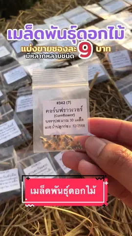 เมล็ดพันธุ์ดอกไม้ แบ่งขายซองละ 9 บาท มีให้เลือกหลายชนิดเลยค่ะ เมล็ดพันธุ์คุณภาพดี ราคาไม่แพง🌷🪻🌻 #เมล็ดพันธุ์ดอกไม้ #เมล็ดพันธุ์ #ปลูกดอกไม้ #ดอกไม้ฤดูหนาว #ฤดูหนาว #ดอกไม้กินได้ #ดอกไม้ 