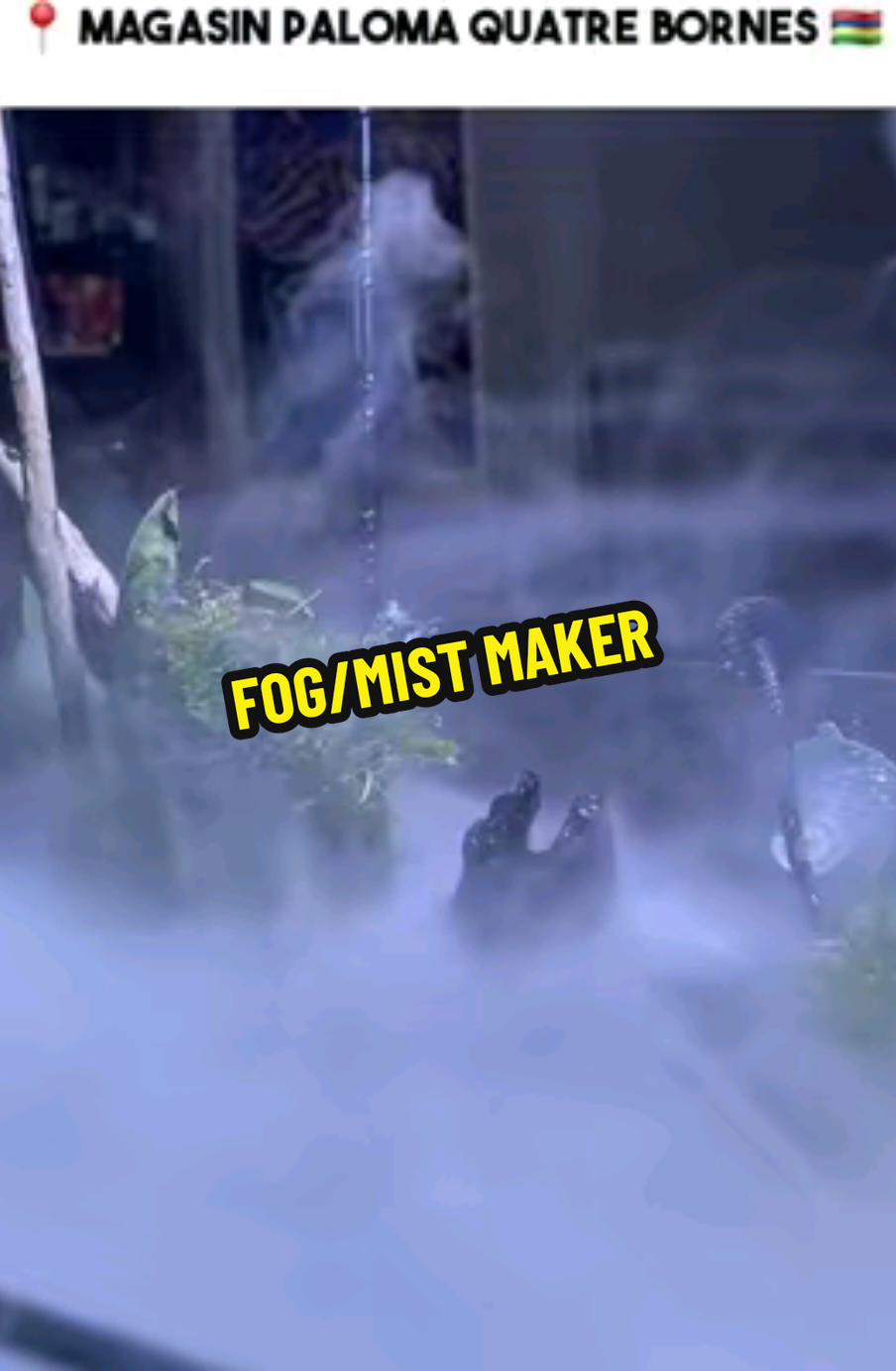 Fog/Mist Machine Available At Magasin Paloma 📍🇲🇺 #mru🇲🇺 #fyp 