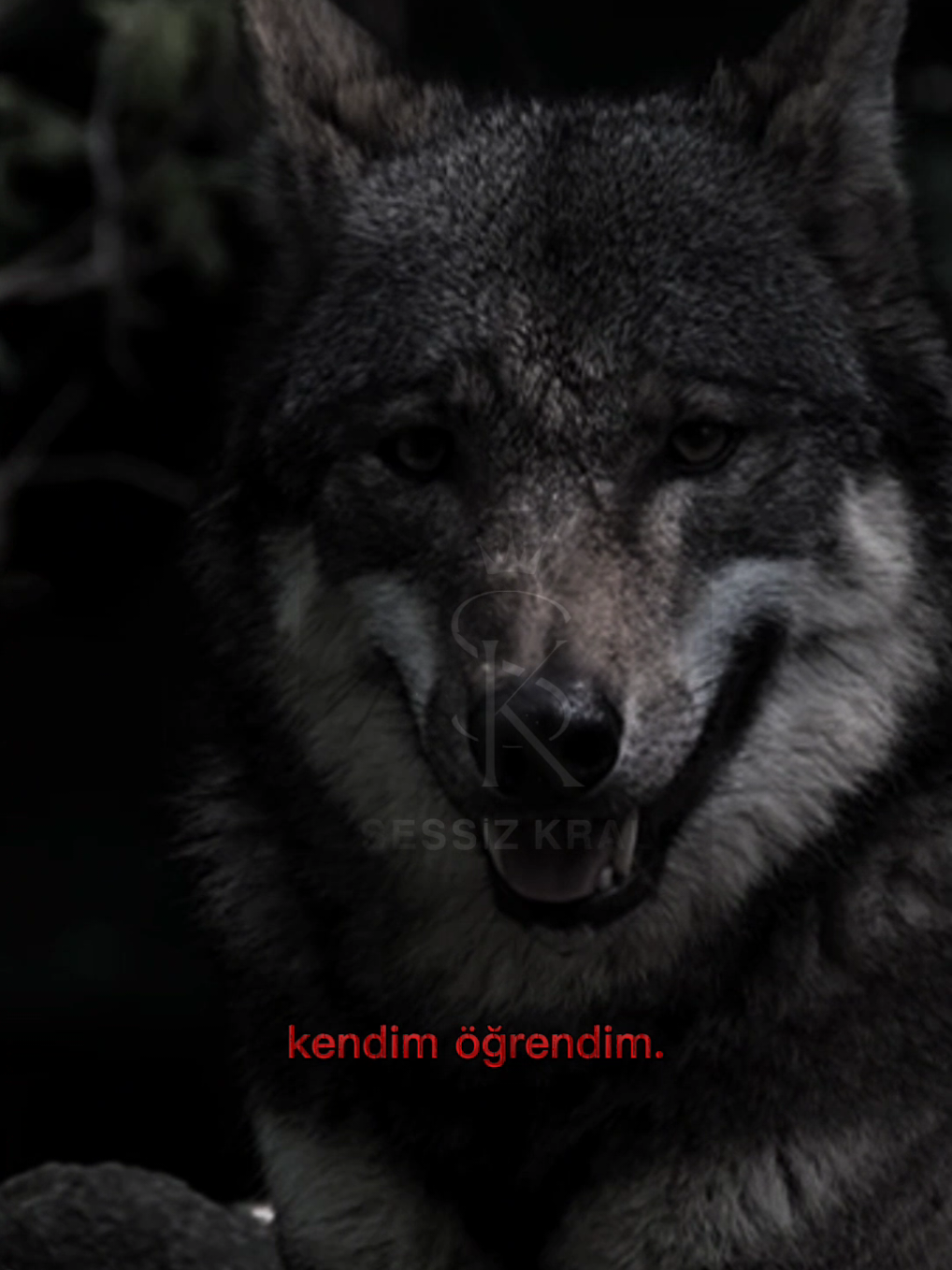 Siz ne düşünüyorsunuz? #sessizkral🦅 #efsanesozler🦅 #sözyazarı #viral_video #kendinisev #raconsözler #fypシ゚ #kapaksözler 