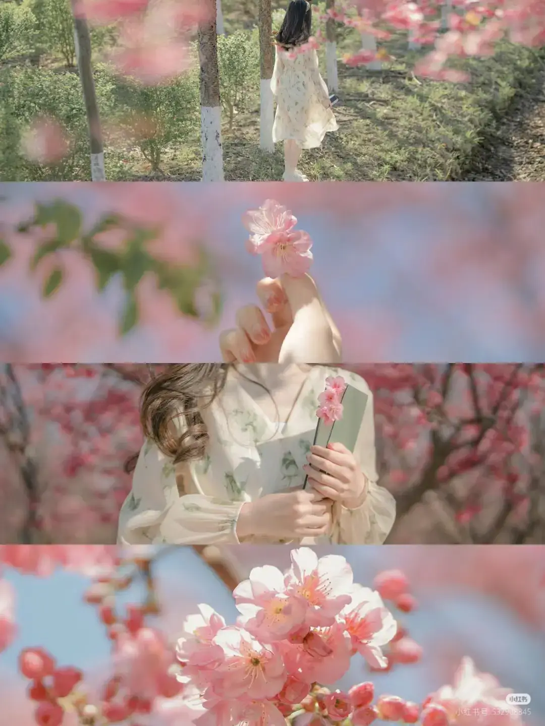 |11-1-2025| • #Free🍂. #来拍照了 