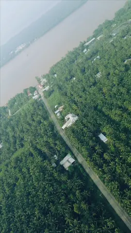 Mini 3 nhưng lại rất FPV 😆 #dji #viral #djimini3 #flycam4k #fpv #flycamvietnam #xuhuong #canhdep #xuduaquetoi🌴🌴🌴 