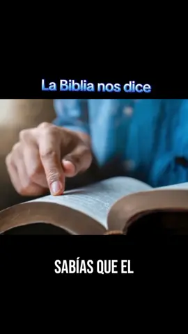 ¿Por qué debemos perdonar? Jesús nos enseña ese tema en la Biblia en Mateo 6:14-15 ahí nos expresa que debemos perdonar a los que nos ofenden porqué sino lo hacemos Dios tampoco nos va a perdonar ❤️‍🩹🙌🏽🙌🏽 Recibe está palabra en el nombre de Jesús 🙌🏽 #paratiiiiiiiiiiii #perdonar #cristianos #alabanzas_cristianas #mensajespositivos #predicas #labiblia 