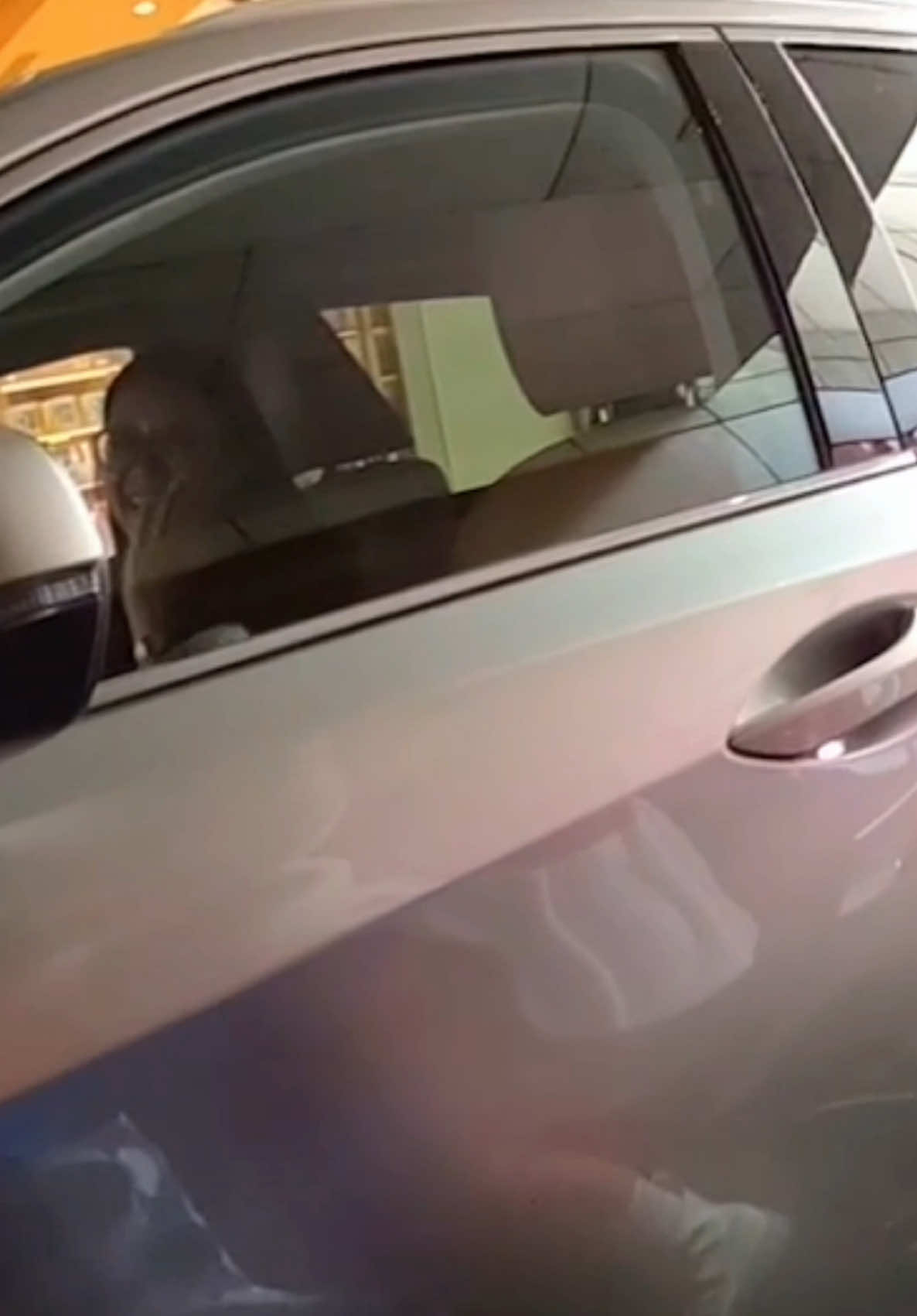 Glad to see you smile 😊🐰 #motorcycle #bikelife #parati #cringe #foryoupage #foryou #fypシ #meme #bike #bunny #queen #gsxr1000 