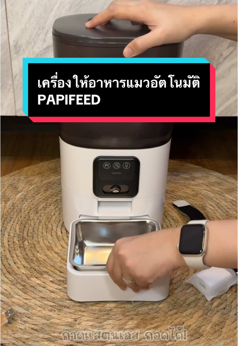 ลืมให้อาหารแมวเมื่อไหล่ก็ไม่ต้องกังวลอีกต่อไป แถมอาหารยังสดใหม่ตลอดเวลา รับรองเด็กๆต้องเลิฟ! #เครื่องให้อาหารแมวอัตโนมัติ #เครื่องให้อาหารแมว #papifeed #papifeed6lcamera #papifeedfeeder #อาหารแมว #เครื่องให้อาหารแมวอัตโนมัติpapifeed #ทาสแมว #ทาสแมวก็งี้เเหละ #แม่สายเปย์ #คนรักแมว #เลี้ยงแมว #เทรนด์วันนี้ #fyp #tiktokviral #fypage  @ลิชชี่รีวิว✨🫶🏻  @ลิชชี่รีวิว✨🫶🏻  @ลิชชี่รีวิว✨🫶🏻 