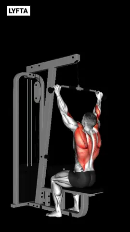 Full Pull Day (Back, Biceps & Rear Delts) 🦾 Download @Lyfta.app (link in bio) to track progress, follow custom plans, and stay consistent – all for FREE. 🚀 Full Routine: 1️⃣ Lat Pulldown – 3 sets of 8–12 reps 2️⃣ Cable Rows – 3 sets of 8–12 reps 3️⃣ Face Pulls – 3 sets of 12–15 reps 4️⃣ Dumbbell Bent-Over Rows – 3 sets of 8–12 reps 5️⃣ Cable Hammer Curls – 3 sets of 10–15 reps 6️⃣ Incline Dumbbell Curls – 3 sets of 10–12 reps Tag a friend to hit this workout with you and start building strength together! ⬇️ #Lyfta #PullDayRoutine #BackAndBis #Gymtips #exercisetips #