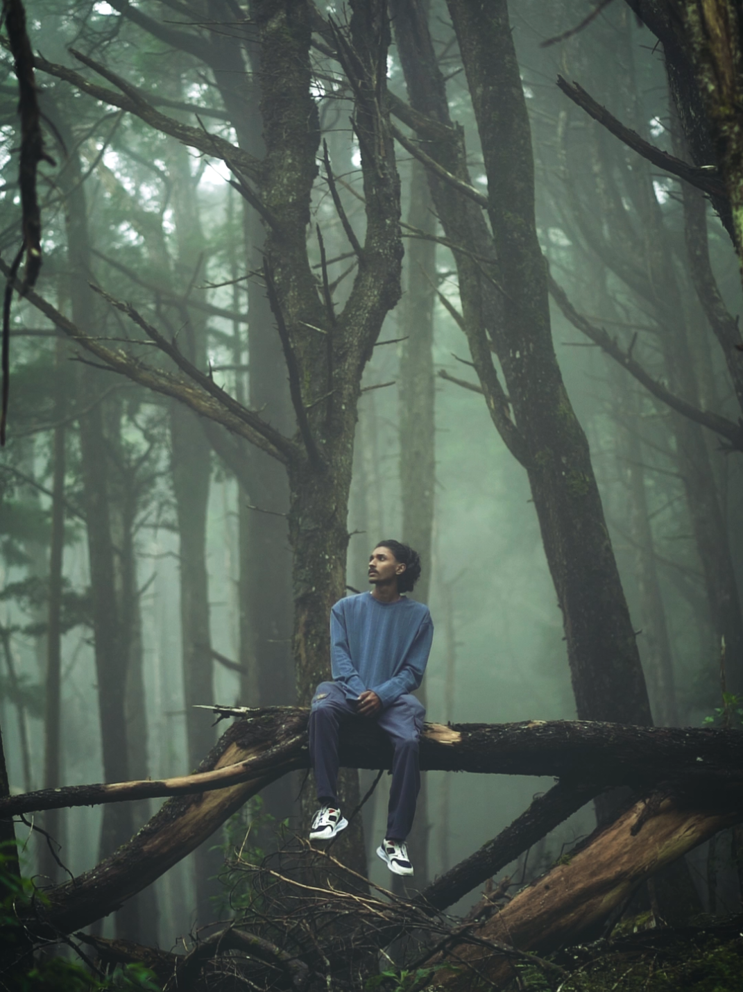 හුදකලාව මා දුටු හොදම කලාවයි. 💚 #naturebeauty #alone #vibes #naturelover #feel #calm #forest #foryou 