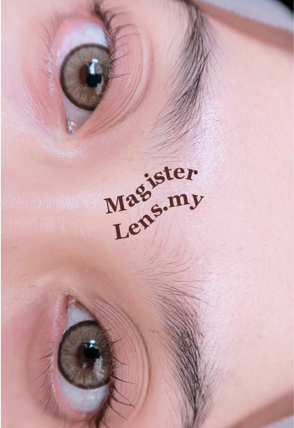 korang tengah cari contact lens yang selesa, tak pedih & tak keringkan mata ke? (Mine in code candy brown) 🤎🐻 #magisterlens #magisterlensviral #contactlensselesa #contactlensbrown 