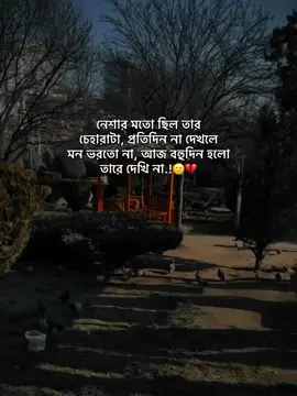 নেশার মতো ছিল তার চেহারাটা, প্রতিদিন না দেখলে মন ভরতো না, আজ বহুদিন হলো তারে দেখি না.!🙂💔 #sami__bhaiyaa 