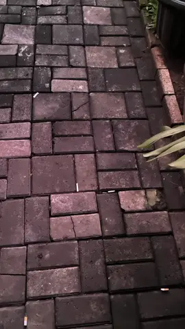 🫦🫦 #geniomodifikasi  #touyaaa  #xybca 