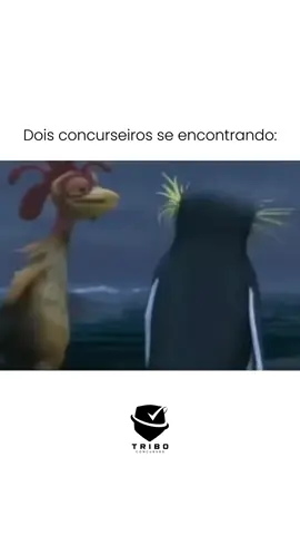 Finalmente alguém que compreende… 🫠😢 #concurso #meme #parceria