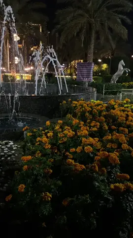 🥺🫂❤️ #النجف_الأشرف #النجف #الشراع_الترفيهي_النجف_الاشرف 