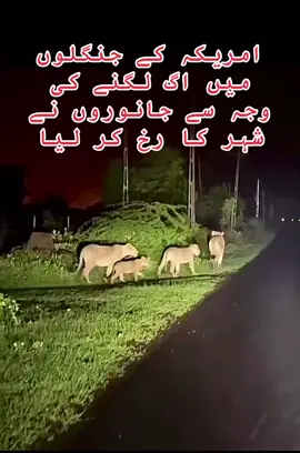 🤲Jaesi karni wase bharni 🤲#foryou #viralvideo #ShaadiSeason #HumHaiYahan #foryourpage 