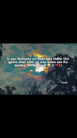 hal boqorad ♥️🫶#viral_video #VoiceEffects #greenscreen 