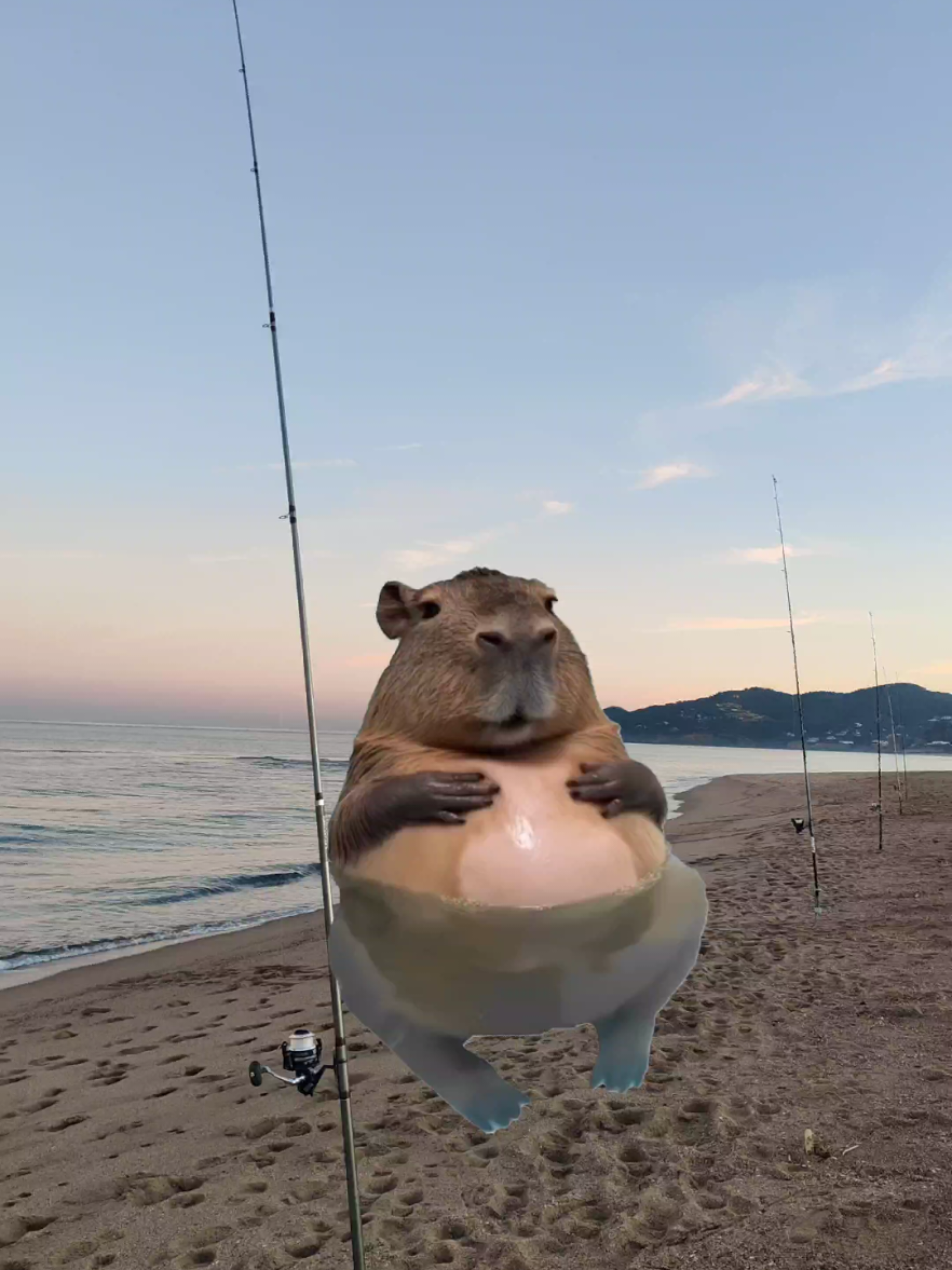 Menciona al compañero de pesca #memesdepesca #pescatiktok #pesca #fishing #surfcasting🎣 #surfcasting #Meme #MemeCut #CapCut 