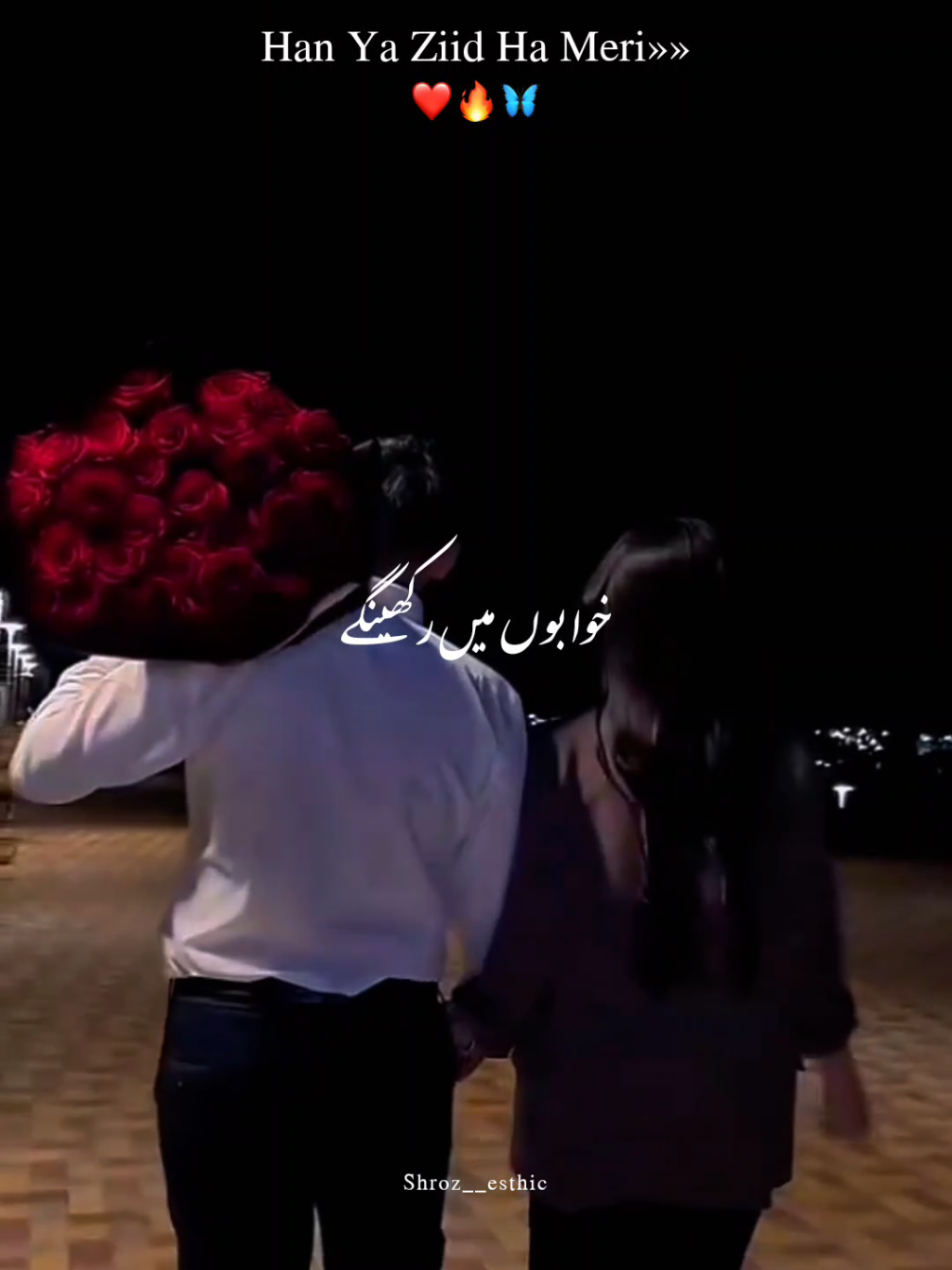 Han Ya Ziid Ha Meri❤️🔥#shrozesthetic #viraltiktok #trendingsong #capcutvelocity #videoviral #whatsappstatus #tiktoknews #viral_video #esthician #statusvideo #CapCut 