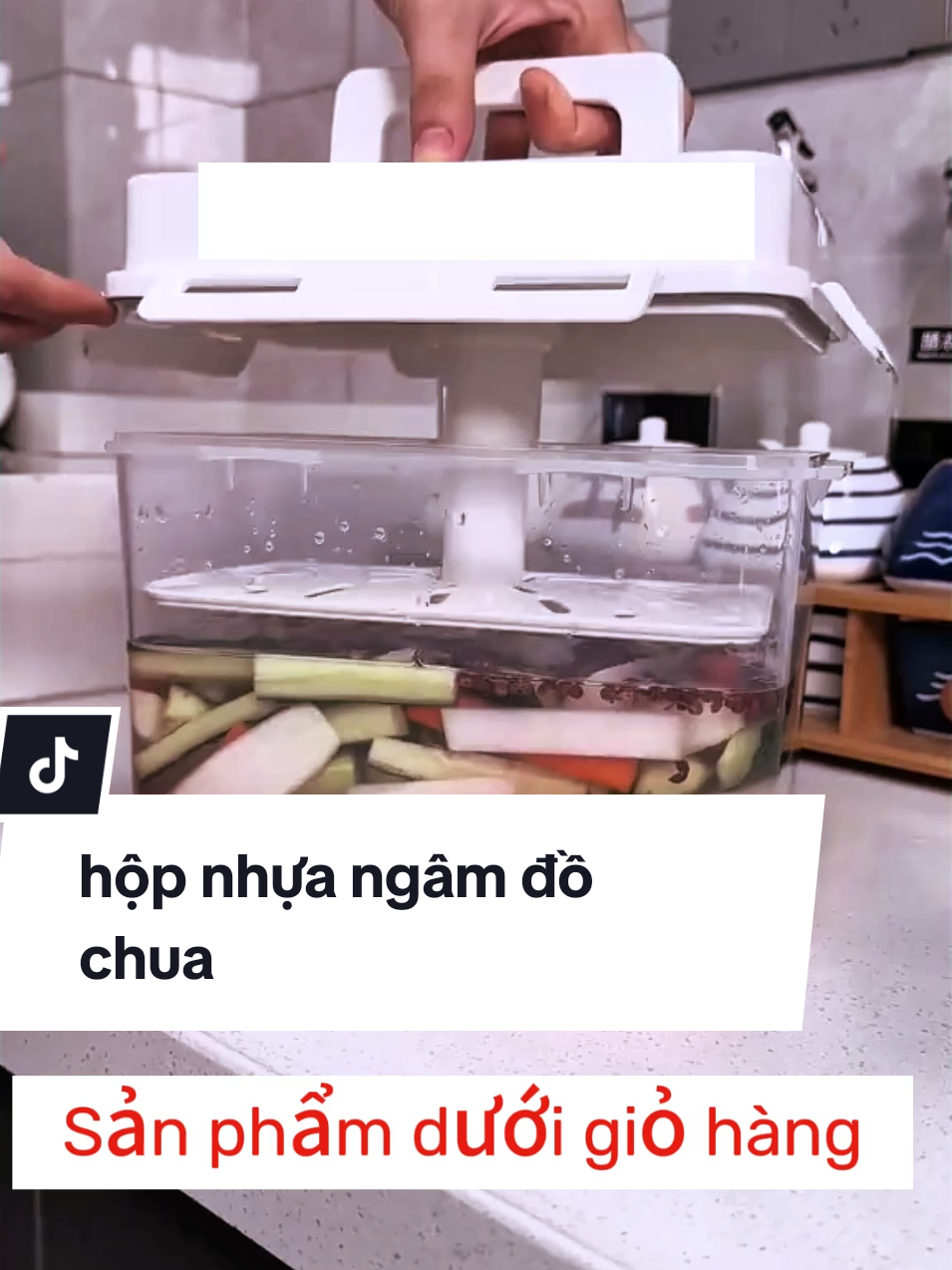 Hộp nhựa pp ngâm đồ chua cực ngon mà sạch #giaitri #2025 #tiktok #xuhuong #thinhhanh #soctapan #phunu #mevabe #decor #trangtri #noithat #bep #hopnhua 