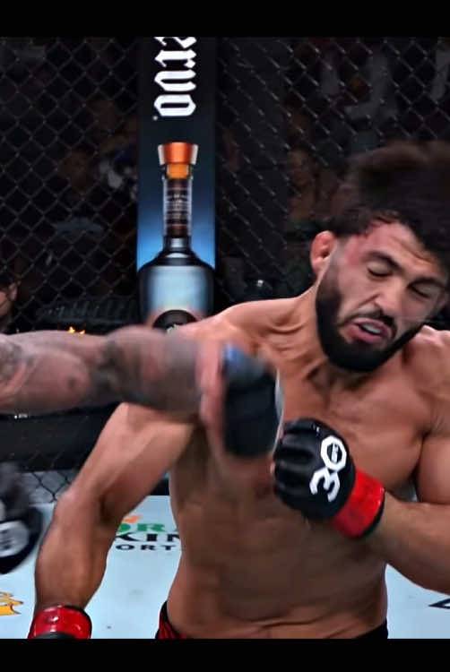 Arman Tsarukyan🦁 #armantsarukyan #🇦🇲 #UFC #islammakhachev #ufc311 #january18 #champion #ufcarmenia #kentiz 